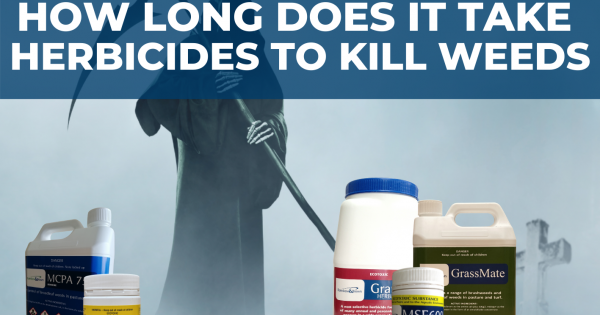 How Long does it take herbicides to kill weeds